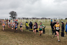 Senior women, 2018 Northern Cross Country Champs., Harewood House, Leeds. Photo: David T. Hewitson/Sports for All Pics